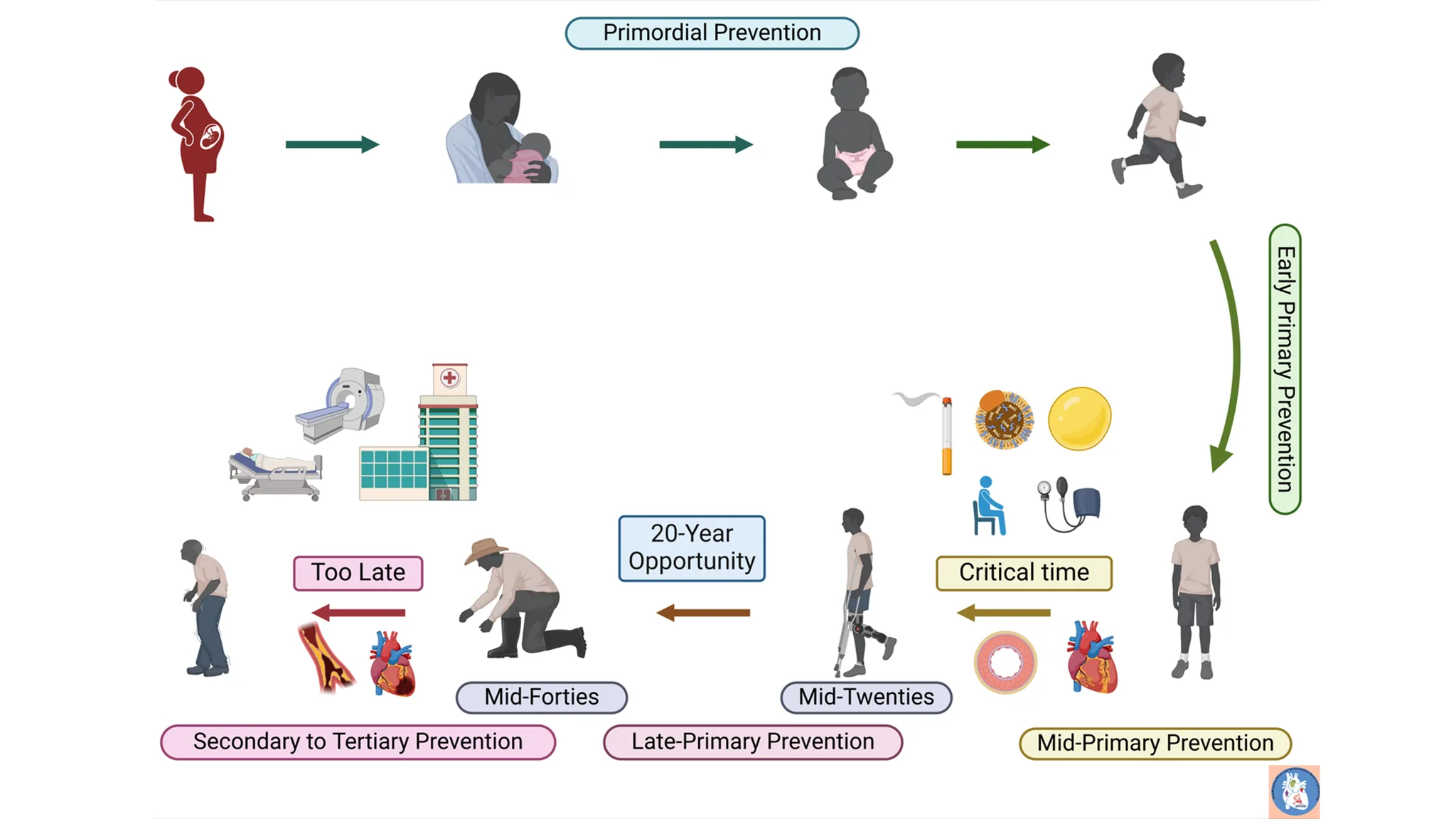 urFIT-child research visualization showing stages of prevention: primordial, early primary, mid-primary, late primary, secondary, and tertiary
