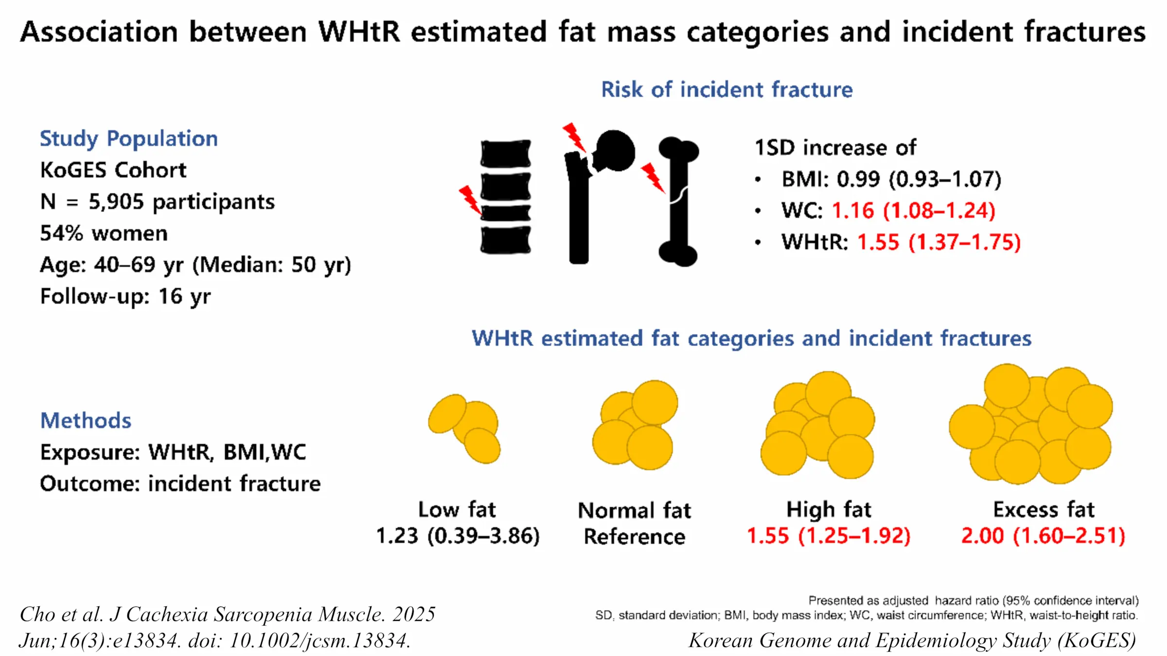 Association between waist to height ratio (WHtR) categories and fracture risk using WHtR calculator