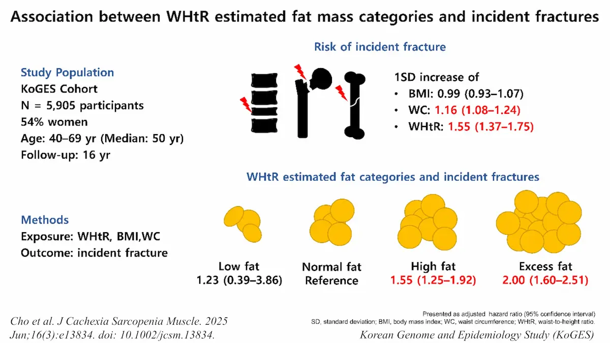 Association between waist to height ratio (WHtR) categories and fracture risk using WHtR calculator