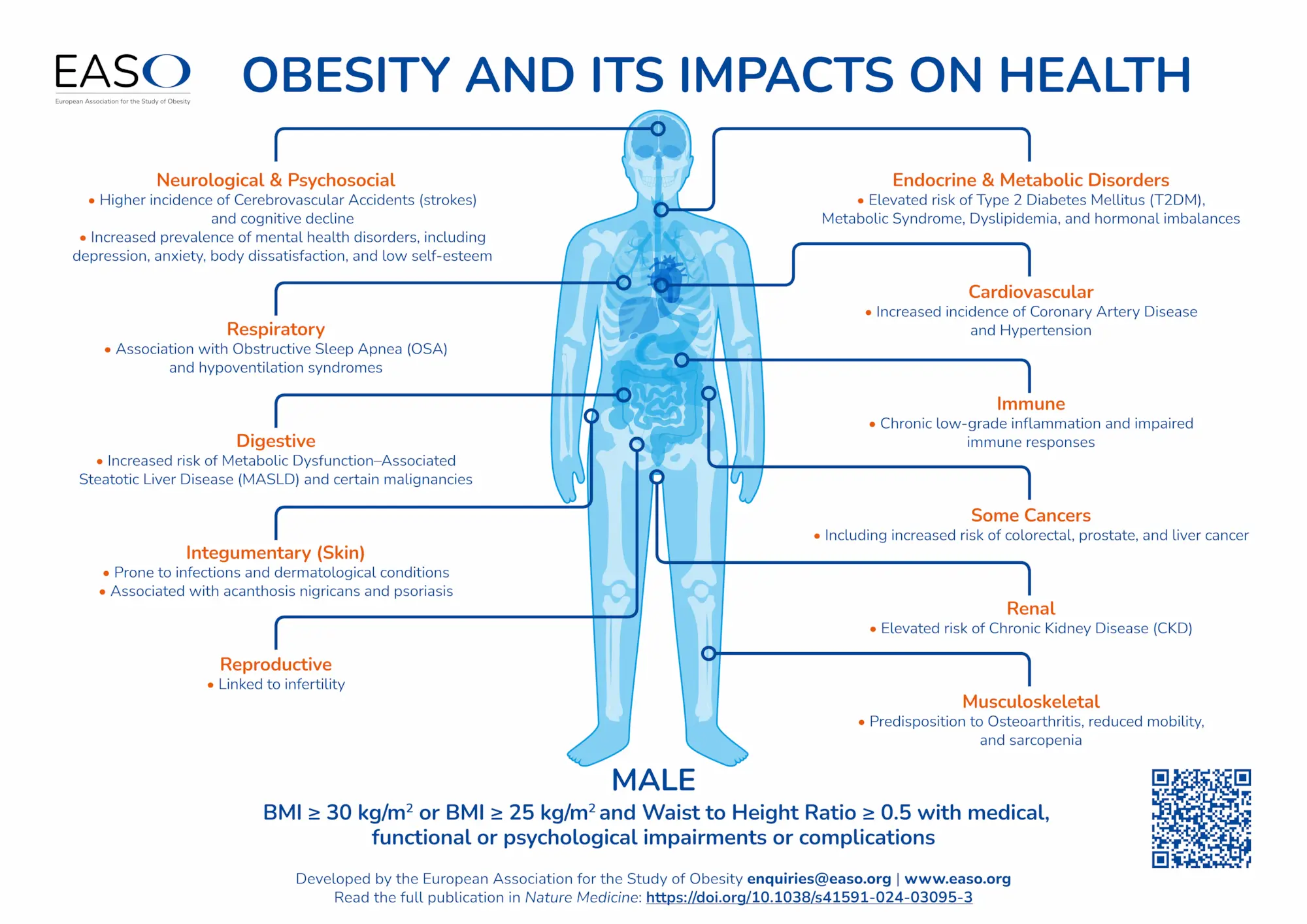 Health risks of obesity in males illustrated using the waist to height ratio calculator (WHtR).